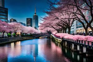 Cherry blossoms on the banks of a river in Asia, Japan photo