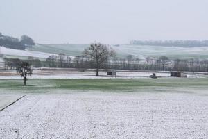 Gloomy Snowy Landscape photo