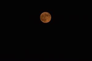 Full Red Moon photo