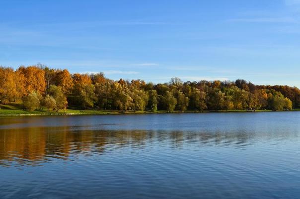 Autumn forest near the lake. Trees reflex on the water.