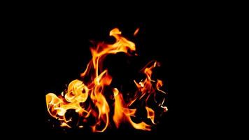 burning fire on a black background photo