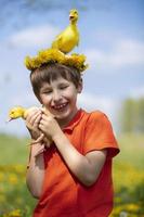 Happy child in dandelions with ducklings. photo