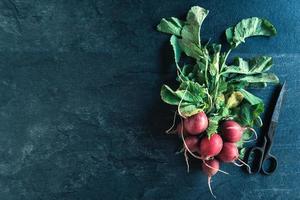 Organic radishes on the table photo