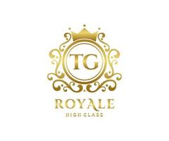 Golden Letter TG template logo Luxury gold letter with crown. Monogram alphabet . Beautiful royal initials letter. vector