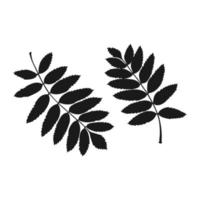 Set with silhouette rowan leaf. Hand drawn autumn vector illustration.