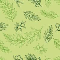 Seamless pattern with olive branches. Hand drawn illustration. vector