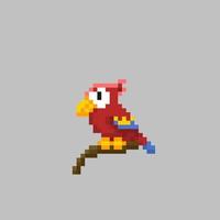 red parrot in pixel art style vector