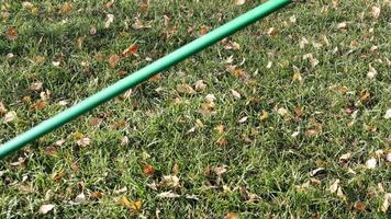 View of the hands and rake, removing yellow fallen leaves from the grass, autumn. Yellow dry autumn leaves video