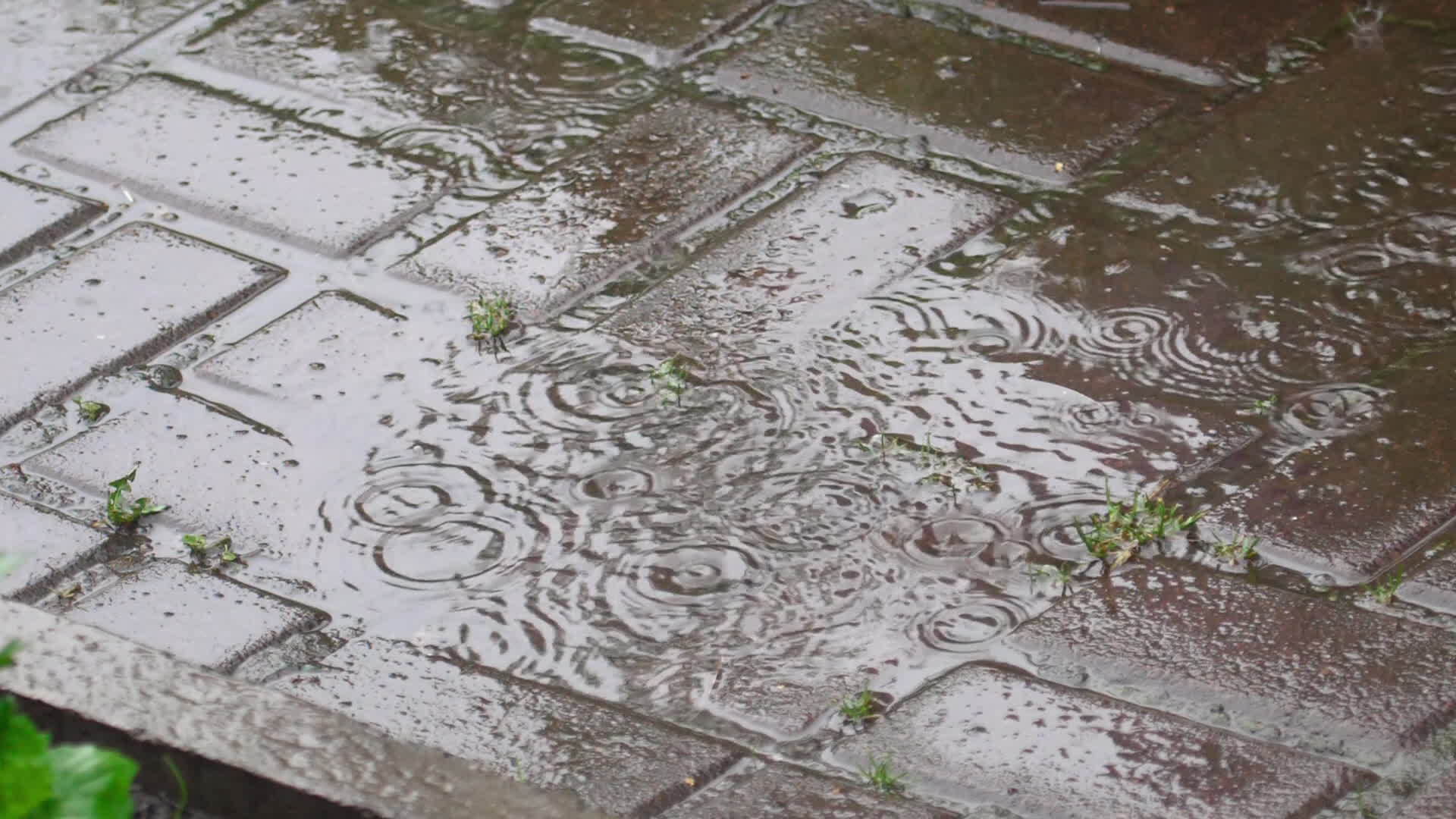 Falling raindrops into puddle, slow motion 23017385 Stock Video at Vecteezy
