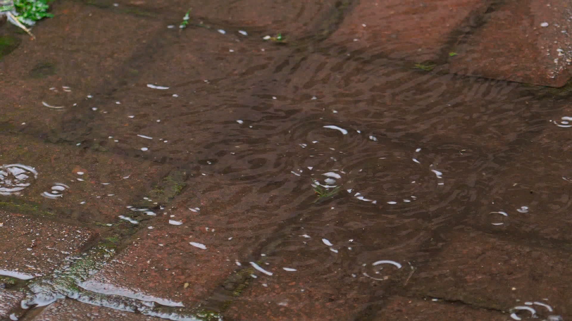 Falling raindrops into puddle, slow motion 23017406 Stock Video at Vecteezy