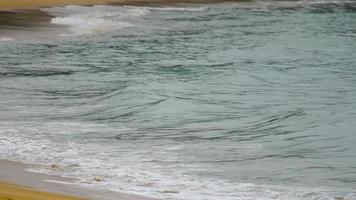 mar onda e arenoso de praia. lento movimento, a onda rolos em a costa video