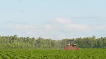 jordbruks maskineri traktor arbetssätt i de fält på en sommar dag. jordbruksnäringen begrepp. ekologisk odling av grönsaker video