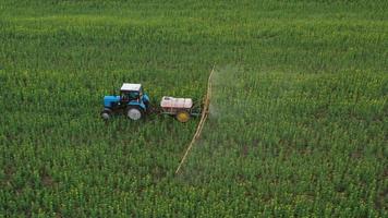 Aerial view of tractor treats agricultural plants on the field video