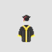 graduation outfit in pixel art style vector