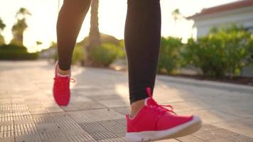 cerca arriba de mujer atadura zapato cordones y corriendo a lo largo el palma avenida a puesta de sol video