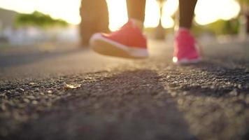 stänga upp av kvinna kvitt sko skosnören och löpning längs de handflatan aveny på solnedgång video