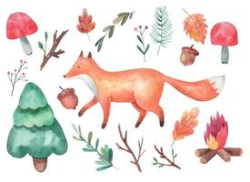 clipart, fox and forest, fly agaric mushrooms, branches, spruce, bonfire watercolor illustration on white background.eps vector