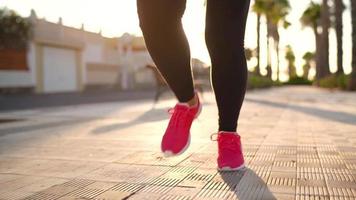 Close up of woman tying shoe laces and running along the palm avenue at sunset video