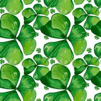 Shamrock seamless pattern, watercolor leaves on white vector