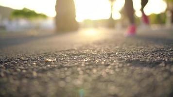 Close up of woman tying shoe laces and running along the palm avenue at sunset video