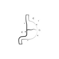 Stomach, Organ vector icon illustration