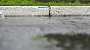 dichtbij omhoog van poten van een loper in sportschoenen. sport- vrouw jogging buitenshuis, stepping in modderig plas. single loper rennen in regenen, maken plons video