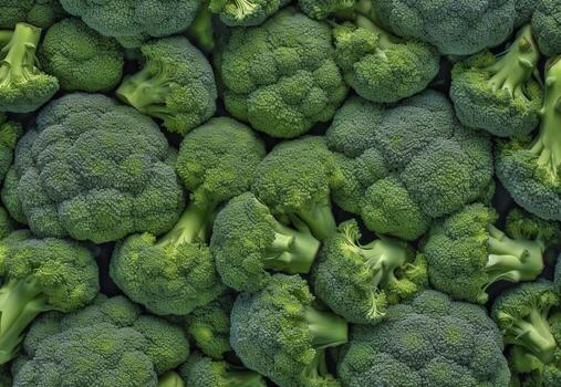 Broccoli background. . photo