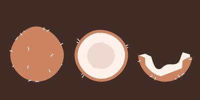 Whole and cut coconut. vector