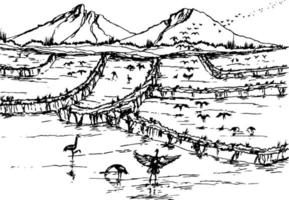 mano dibujado vector naturaleza ilustración con arroz campo en principal vista, utilizando para viaje y naturaleza antecedentes