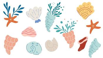 Seashell set. Cartoon scallops. Tropical conch sea snail oyster clam scallop seashells, mollusks spiral shells aquarium or underwater wildlife, conch. Vector illustration of sea scallop marine