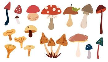 hongos colocar. bosque salvaje hongos tipos orgánico porcini y cuerda, venenoso hongo. venenoso y comestible champiñón, cuerda, cepo, amanita y trufa aislado vector ilustraciones