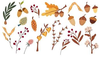 Autumn forest floral set. Forest herbs and Acorns, Pine Cones, Dry Branches. Wild botanical set. Coniferous and deciduous. For sticker, postcard, invitation, website. Vector cartoon illustration.