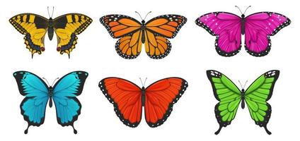 conjunto de vistoso mariposas vector ilustración.