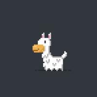 llama in pixel art style vector