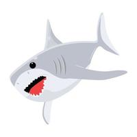 Trendy Shark Fish vector