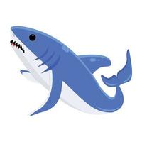 Trendy Shark Concepts vector