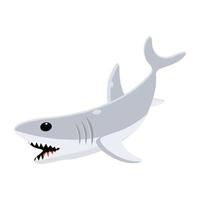 Trendy White Shark vector
