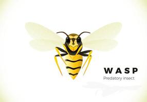 Wasp cartoon illustration isolated on white background. poisonous insect. Yellow wasp. Vector