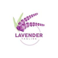 Lavender Logo, Hand Drawn Wedding Plant Design, Agriculture Vector, Symbol Illustration Template Icon vector