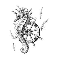 Seahorse with ship's wheel and seaweed. Illustration of hand drawn graphics, vector in EPS format. Composition isolated on white background.