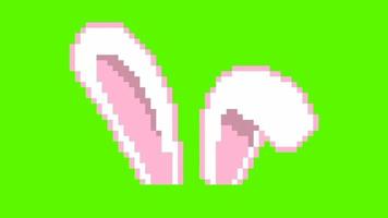 animado pixel arte fofa Coelho orelhas para Páscoa ovos em verde tela video