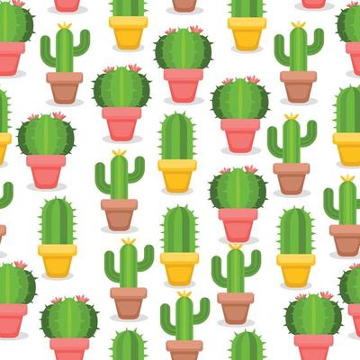 Cactus semaless pattern on white background