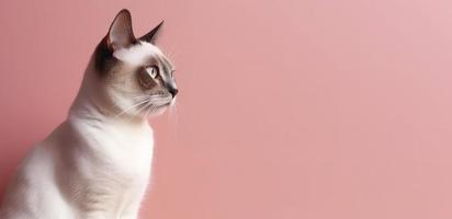 cute balinese cat portrait. pink background. with copy space. generate ai photo
