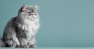 portrait of gray persian cat. bright green gradient background. with copy space. produce ai photo