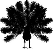 Vector silhouette of peacock on white background