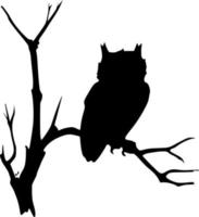 Vector silhouette of owl on white background