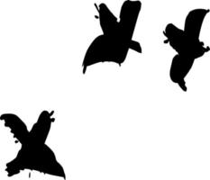 Vector silhouette of Bird on white background