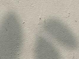 Leaves shadow background on concrete wall texture, leaves tree branches shade with sunlight photo