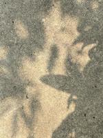 Leaves shadow background on concrete wall texture, leaves tree branches shade photo