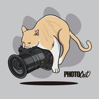 A cat doing something to the photocat vector